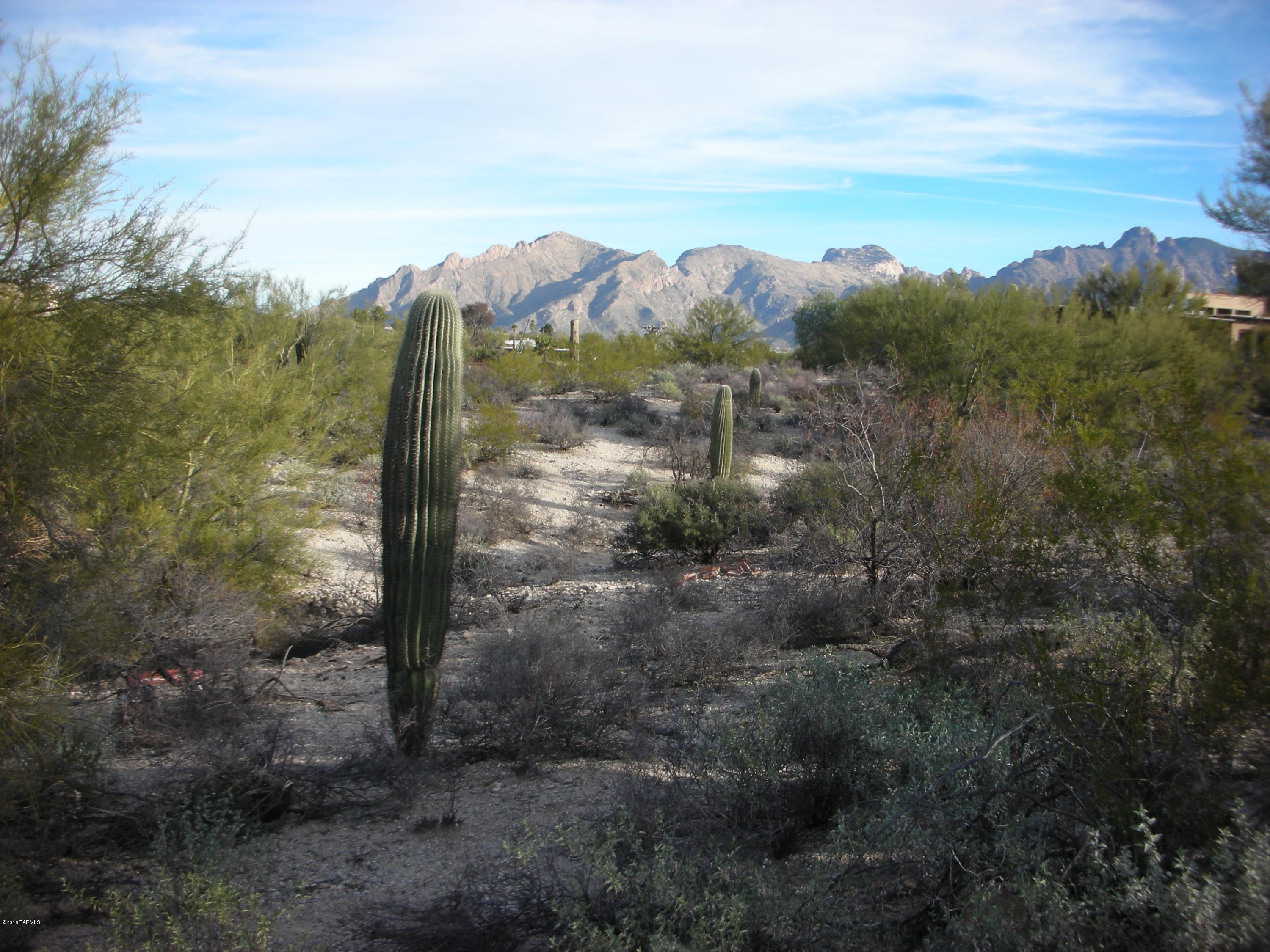 Oracle Foothills Estates NO. 7 (301-383) - Land