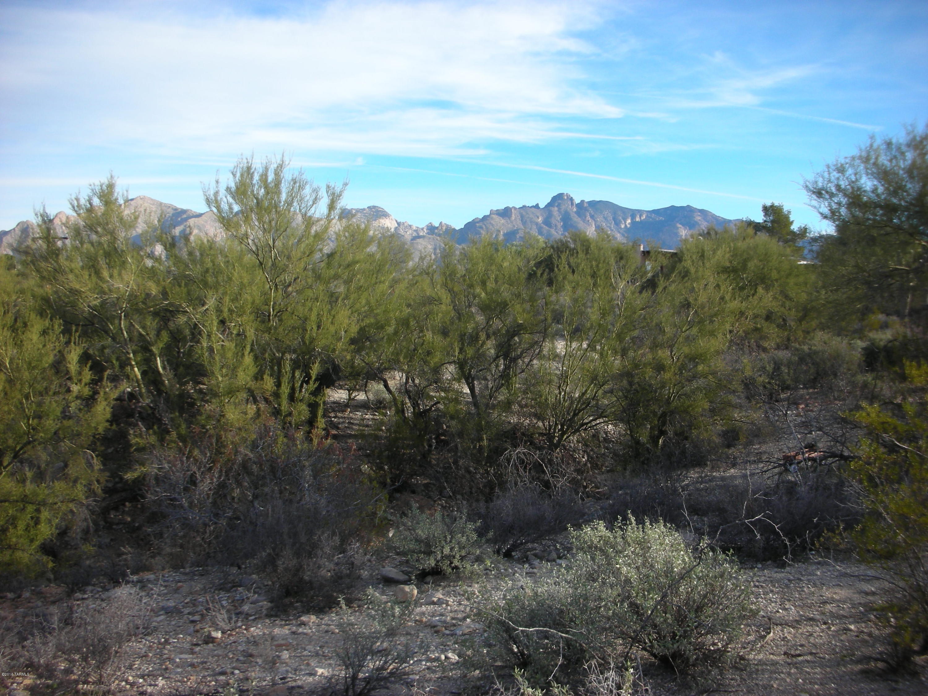 Oracle Foothills Estates NO. 7 (301-383) - Land