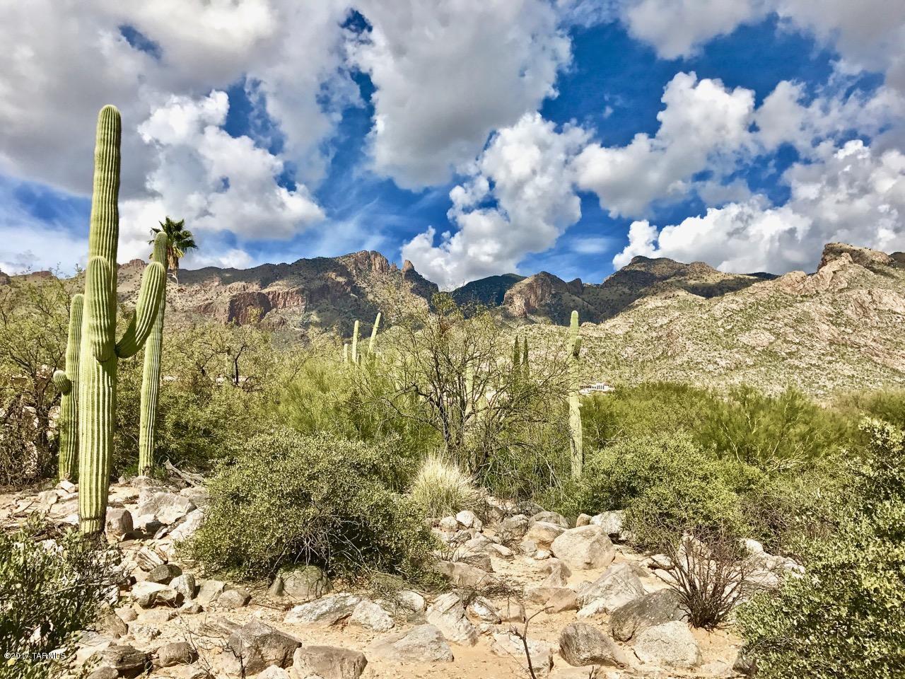 Coronado Foothills Estates - Land