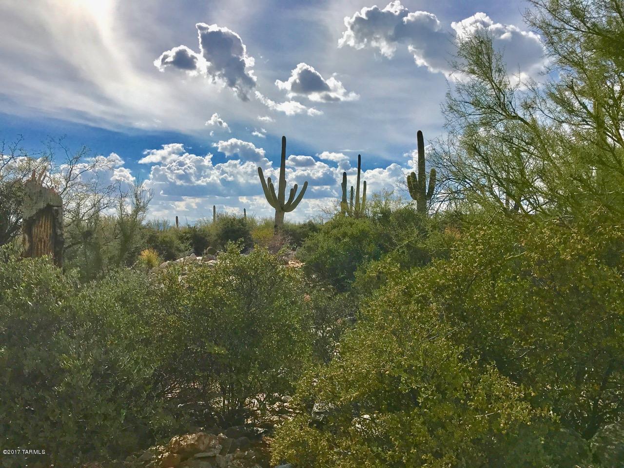 Coronado Foothills Estates - Land