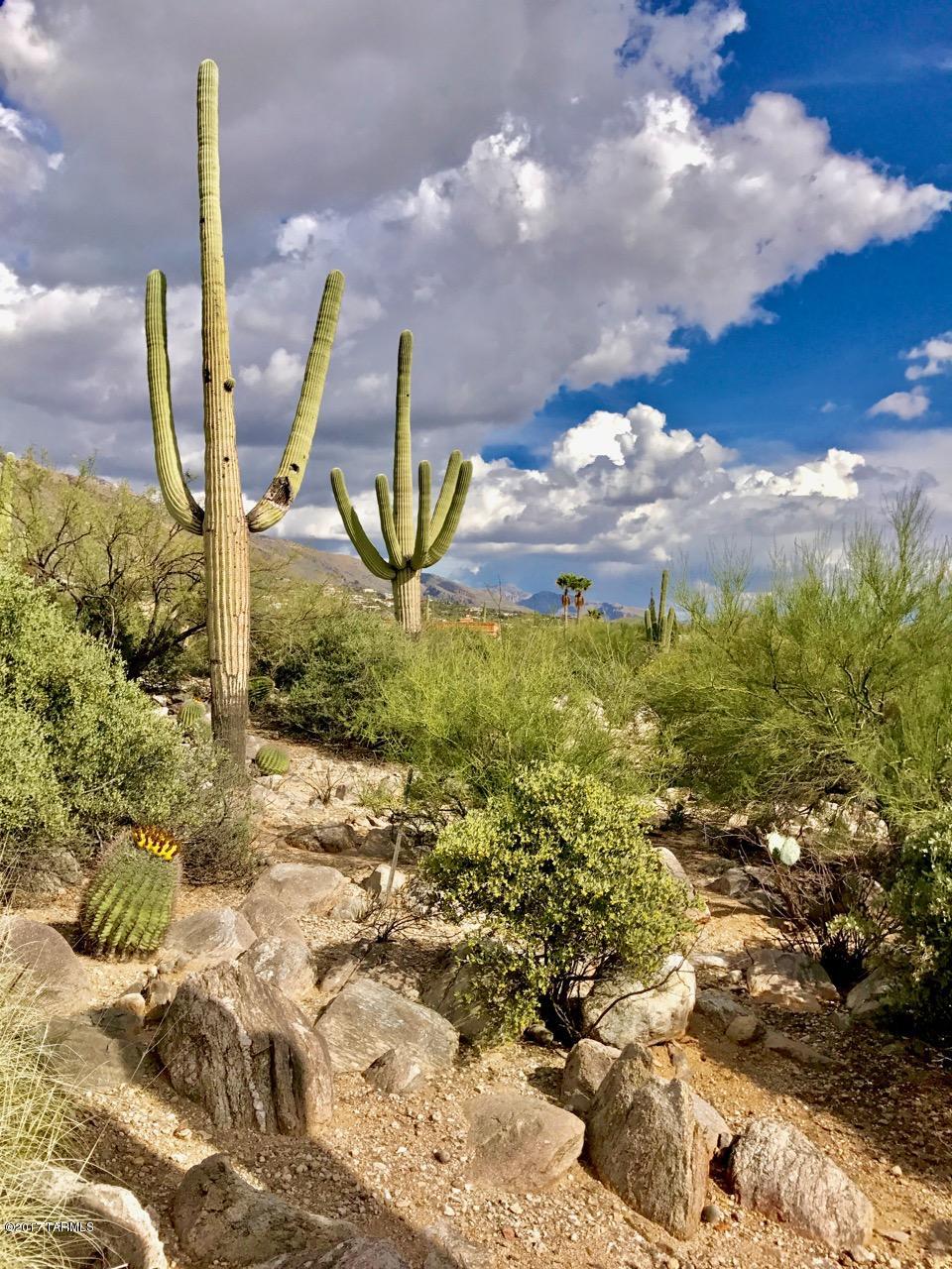 Coronado Foothills Estates - Land