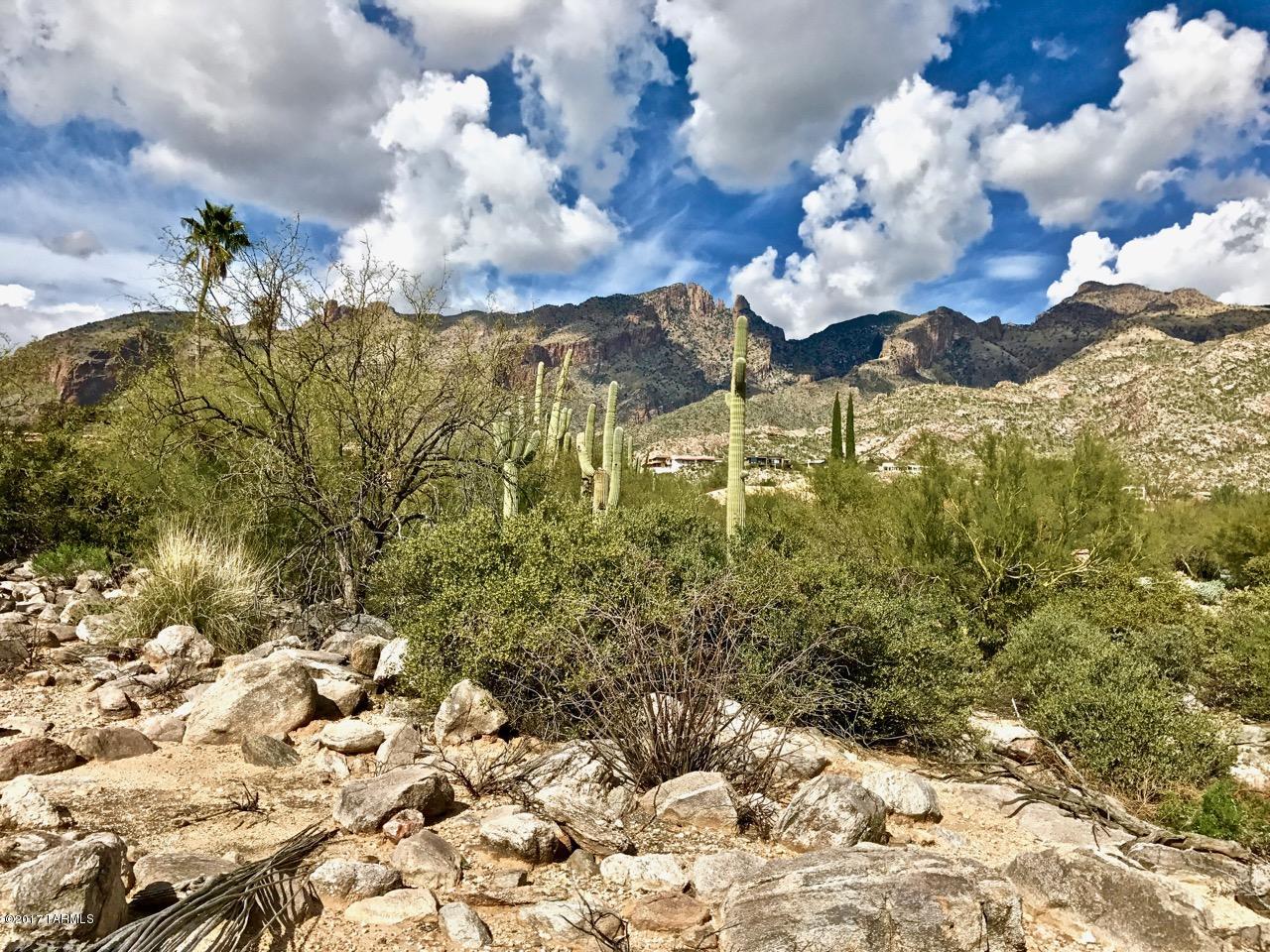 Coronado Foothills Estates - Land