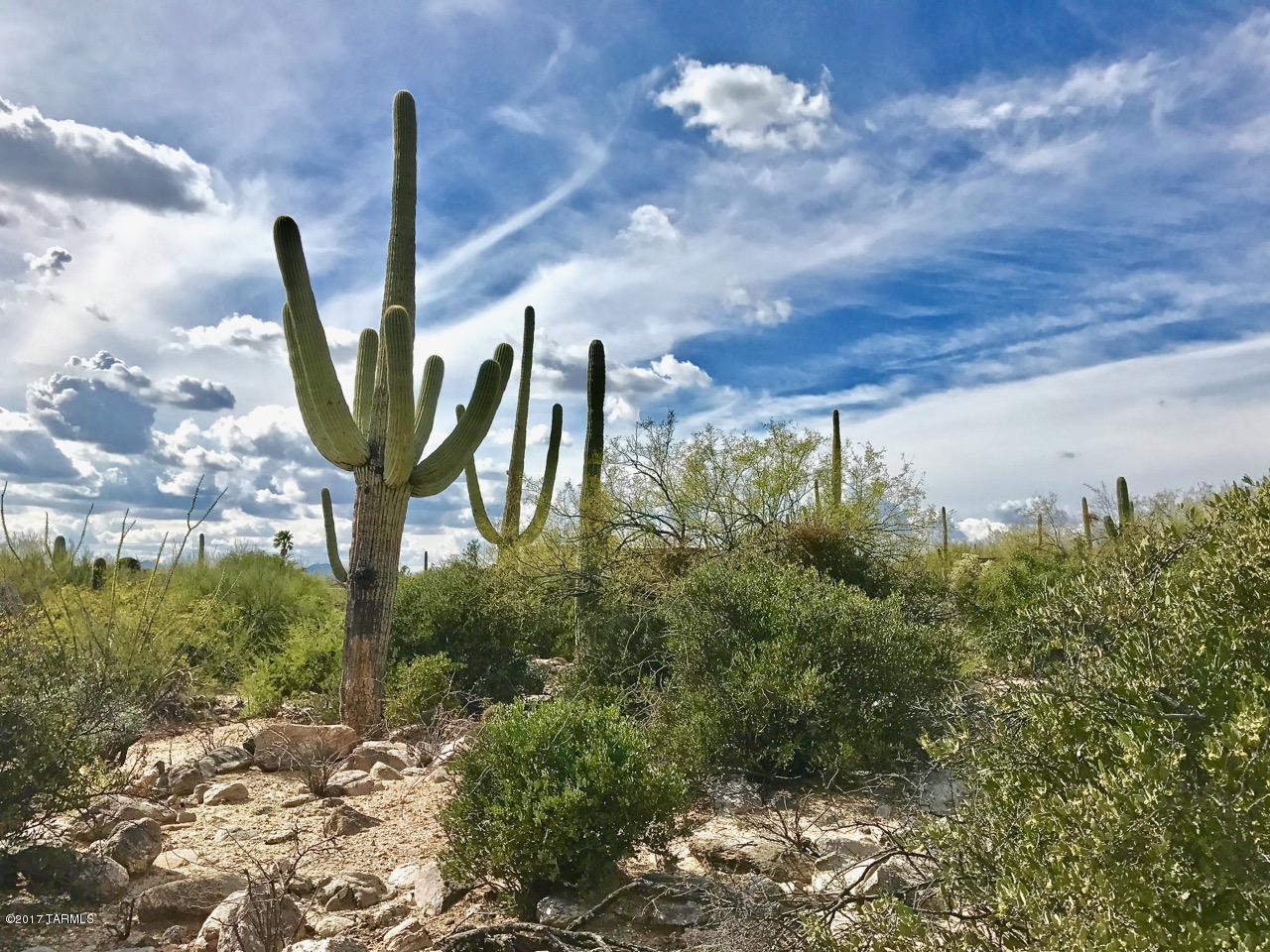 Coronado Foothills Estates - Land