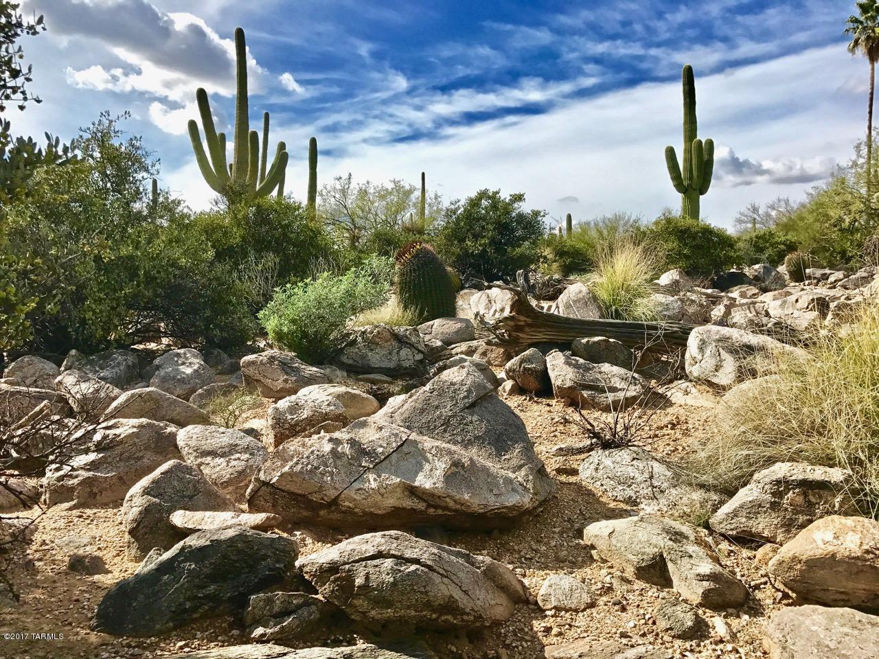 Coronado Foothills Estates - Land
