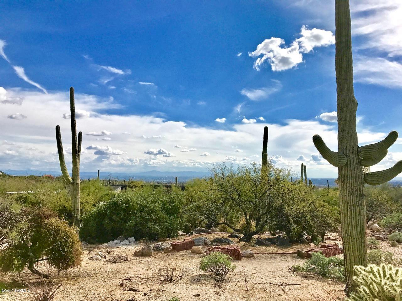 Coronado Foothills Estates - Land
