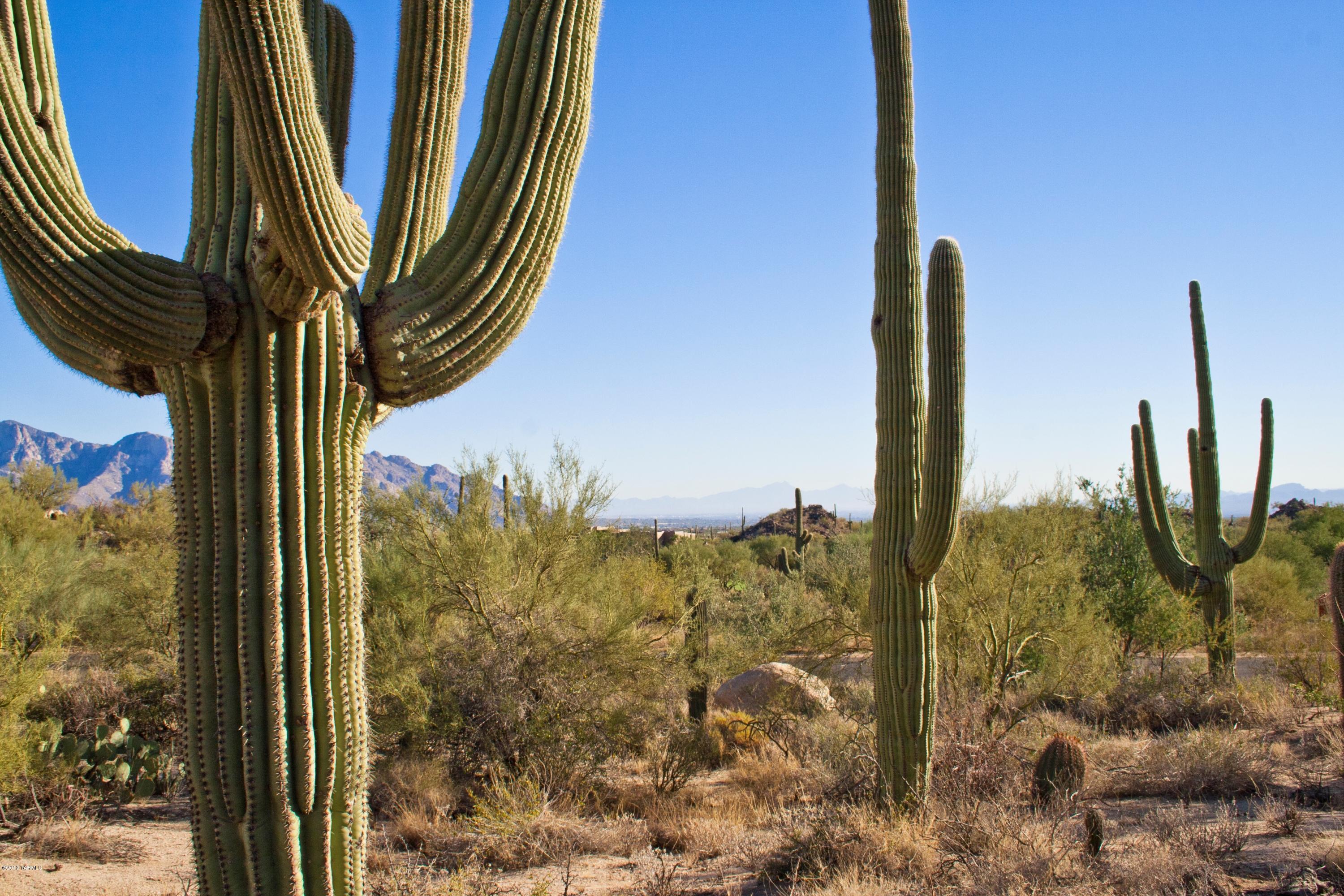 VIEWS, VIEWS, & more VIEWS! Enjoy sweeping vistas of the Catalina Mountains, Stone Canyon's golf course & the city lights of Downtown Tucson from this spectacular custom homesite. Nestled against the Tortolita Mountain hillside, this incredible 4.39 acre lot features amazing rock outcroppings, mature saguaros, and tremendous privacy. The discerning Buyer will appreciate the finest aspects of this dramatic custom homesite, its buildable site location, and the EXCEPTIONAL value. Enjoy the fantastic lifestyle experience at Stone Canyon with its fabulous Health & Fitness facility, impressive new clubhouse, and Top 100 golf course which was bought by a group that includes PGA Tour star Phil Mickelson.