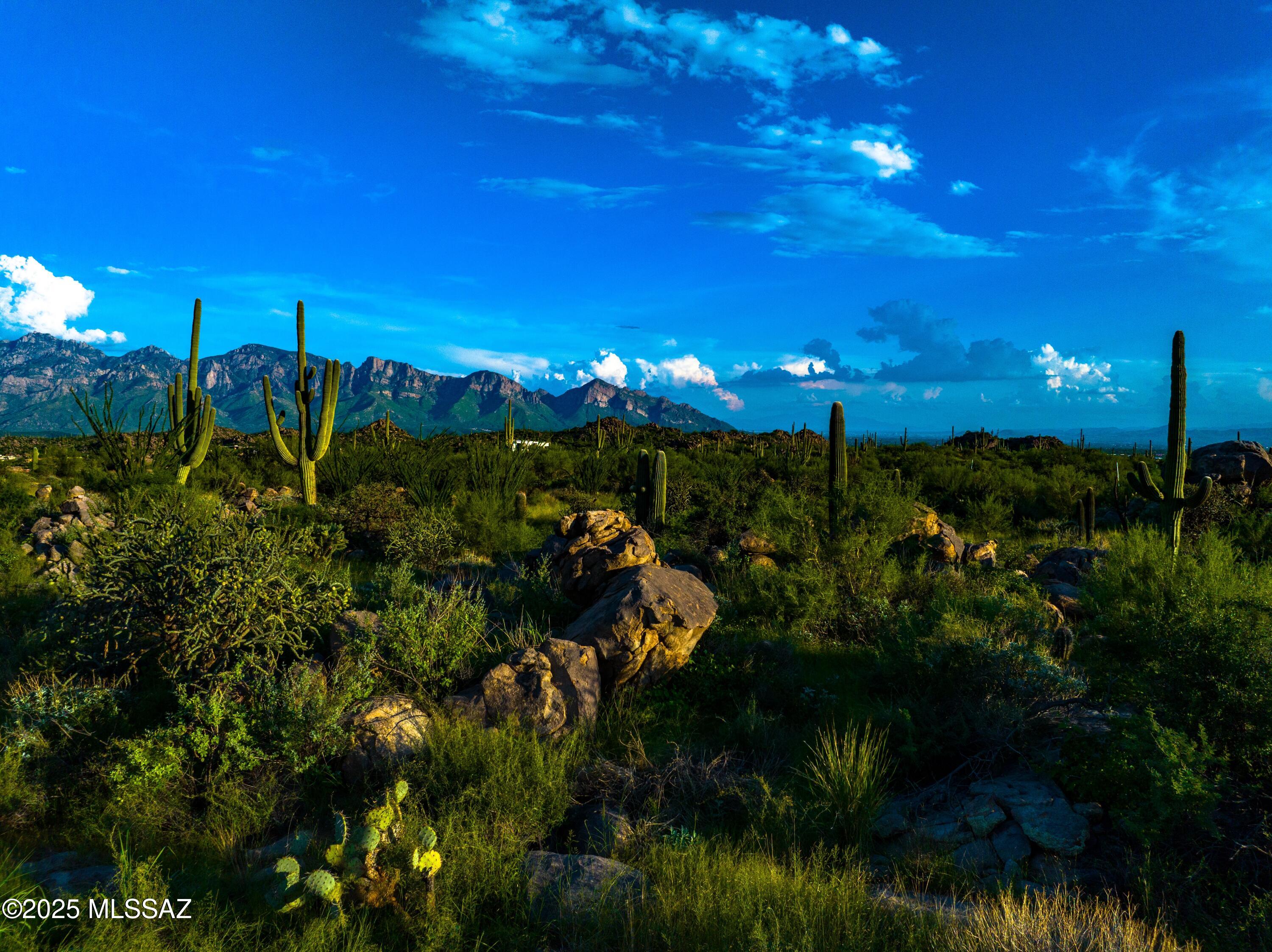 Stone Canyon VII (404-485) - Land