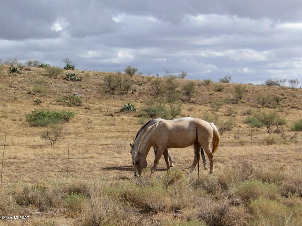 Chiracahua Trail Ranches - Residential