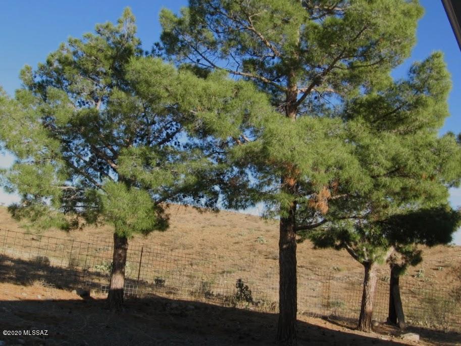 Chiracahua Trail Ranches - Residential