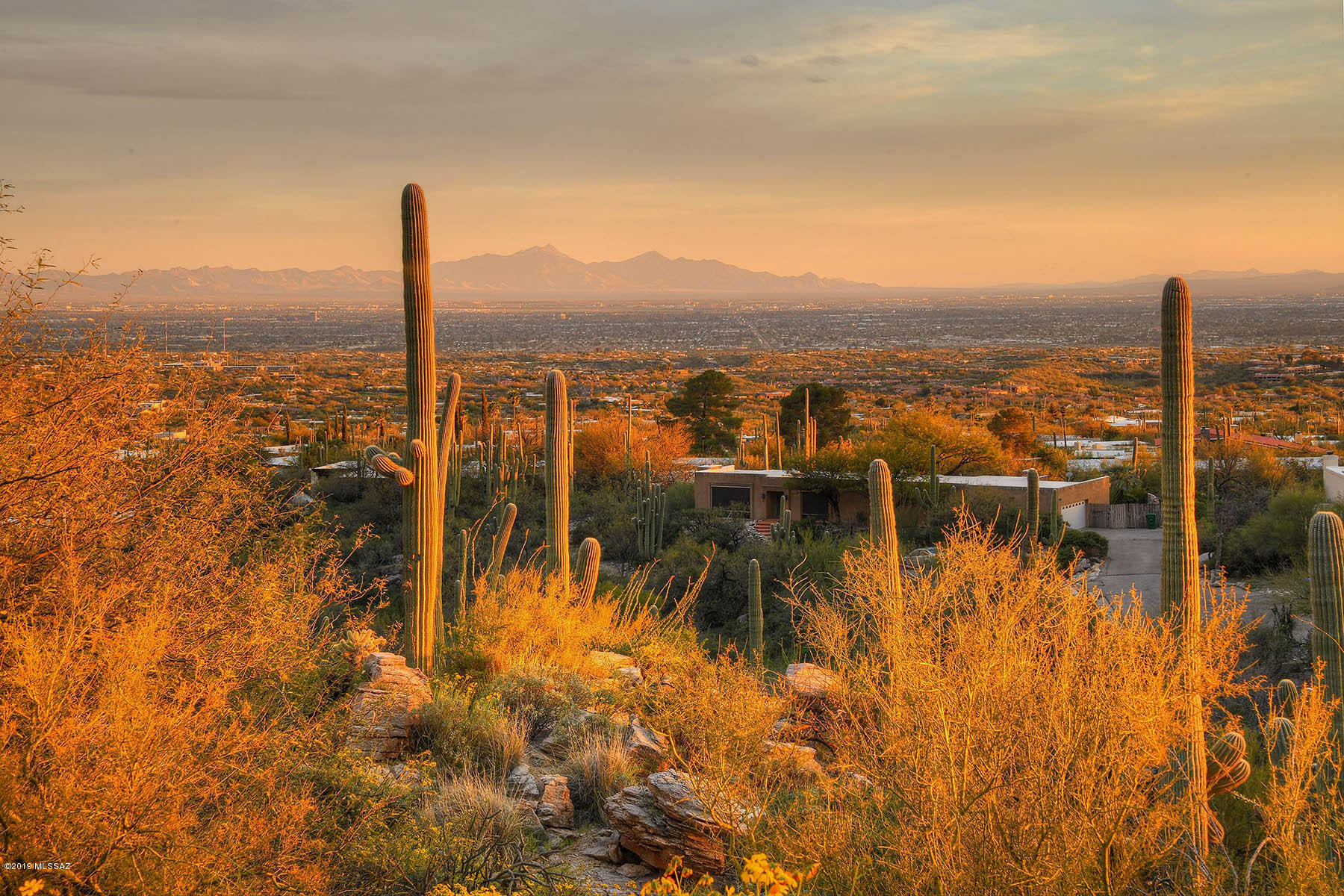 The Summit at Finger Rock (1-36) - Residential
