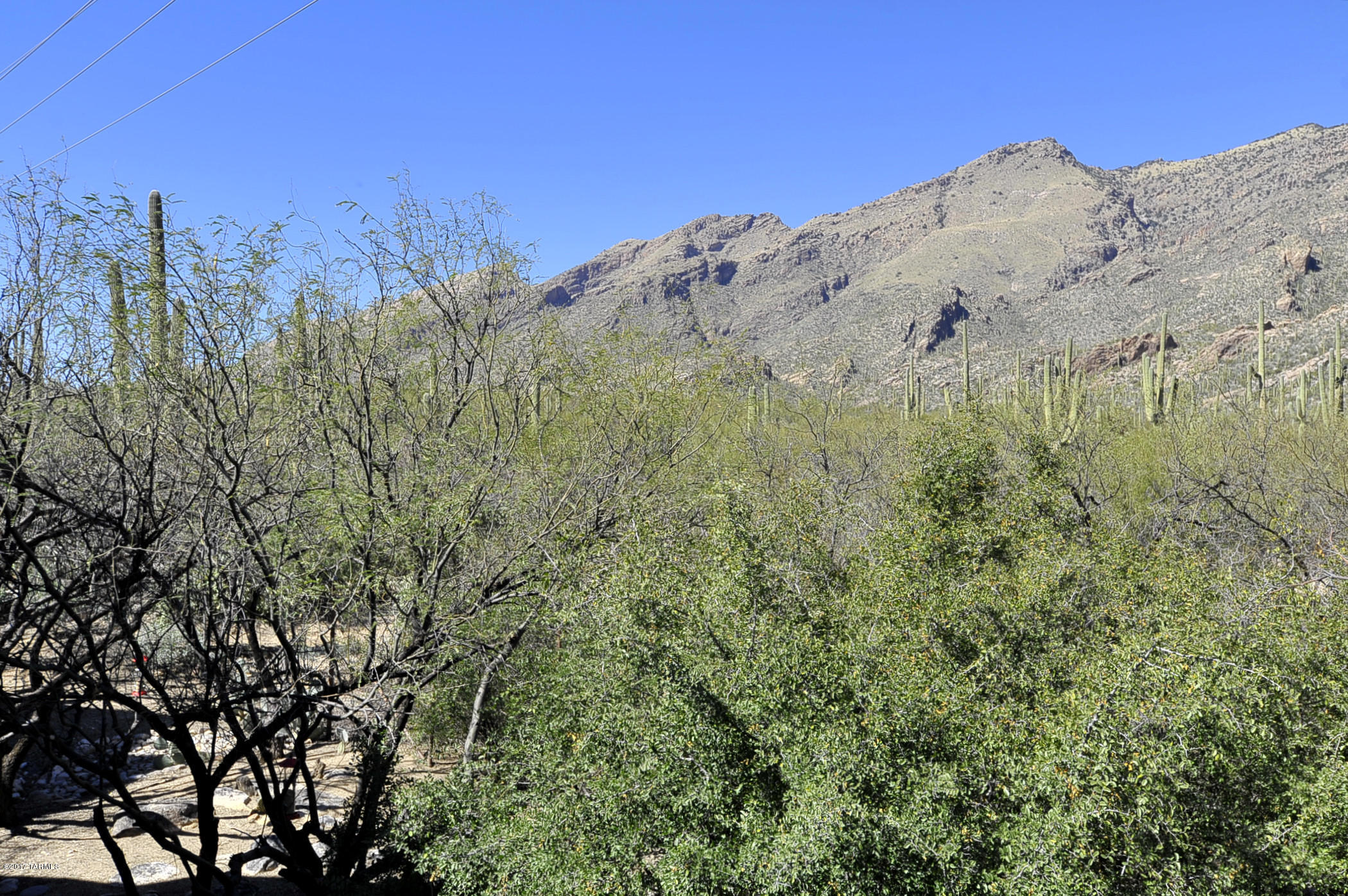 Canyon View At Ventana Condominium (1-264) - Residential Lease