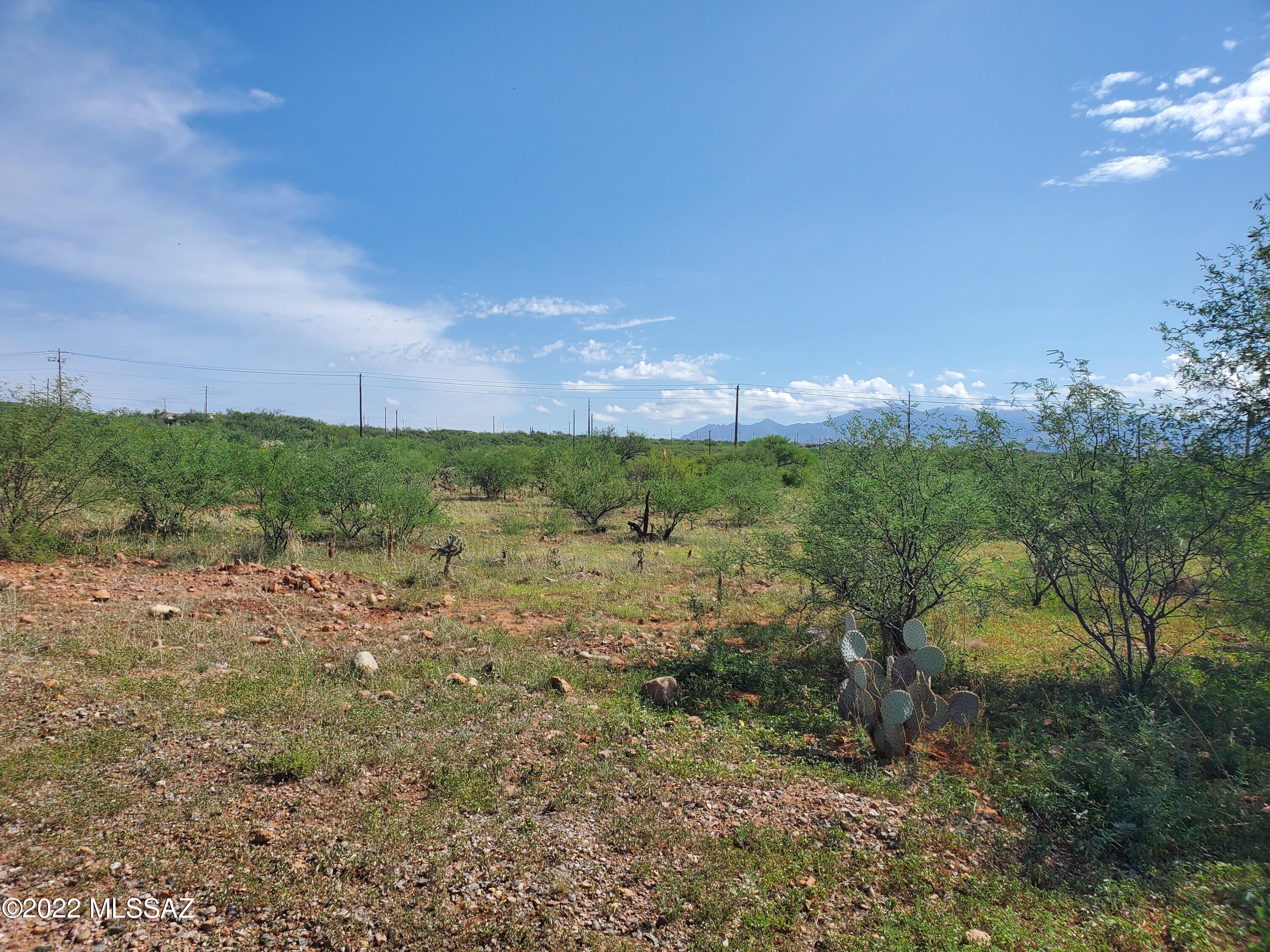 Rio Rico Villas 11 - Land