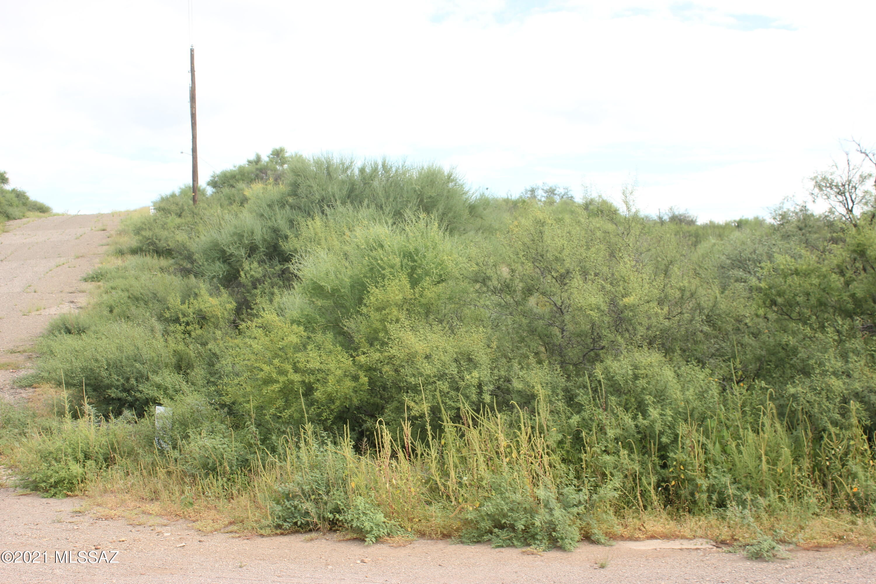 Rio Rico Villas 12 - Land