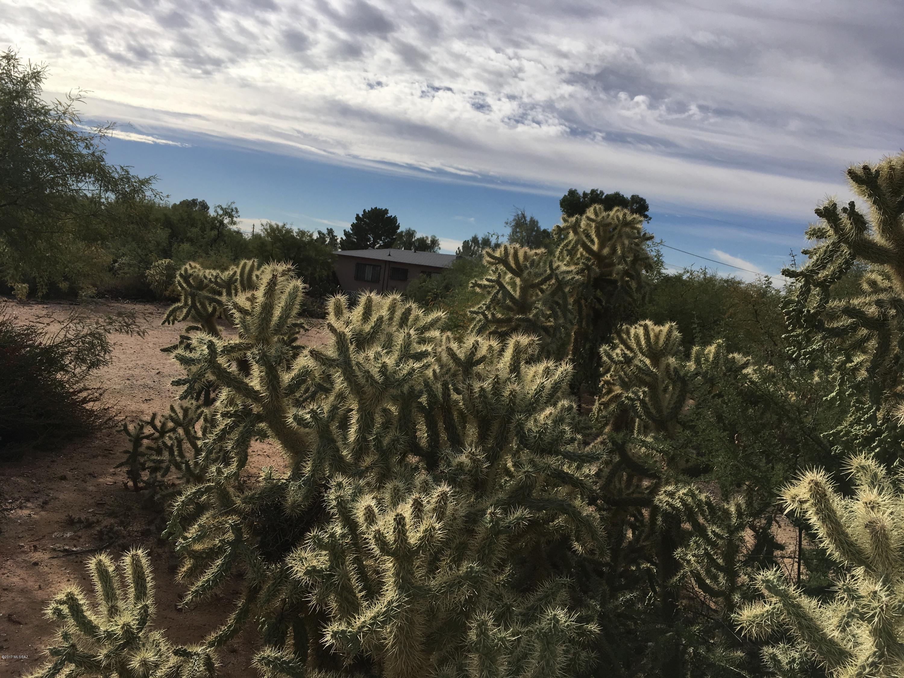 Amphitheater Acres Addn. - Land