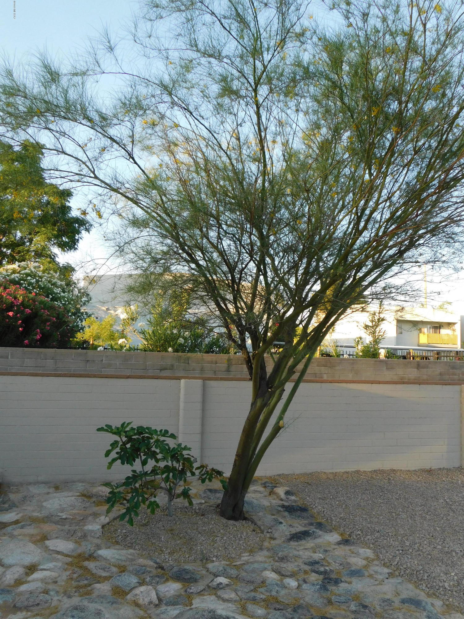 Unsubdivided - Residential
