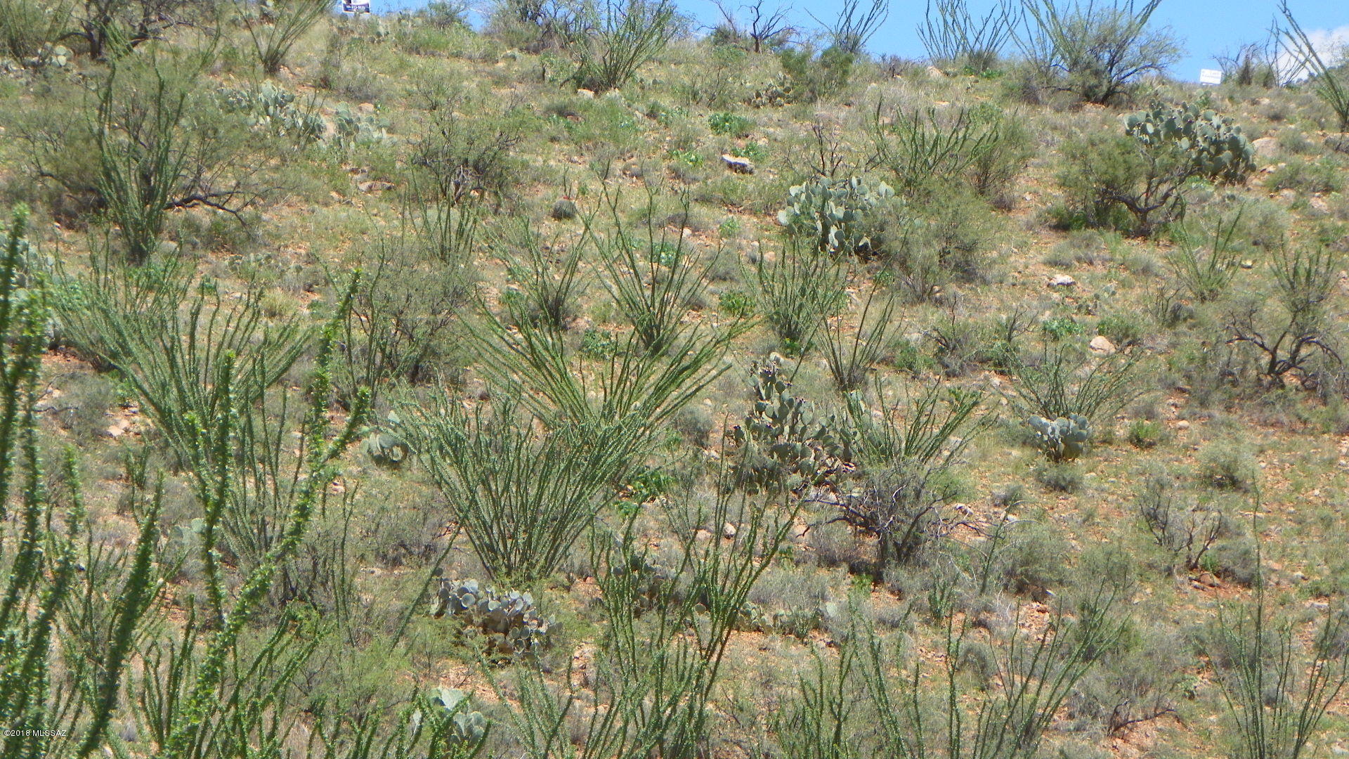 Rio Rico Ranchettes 4 - Land