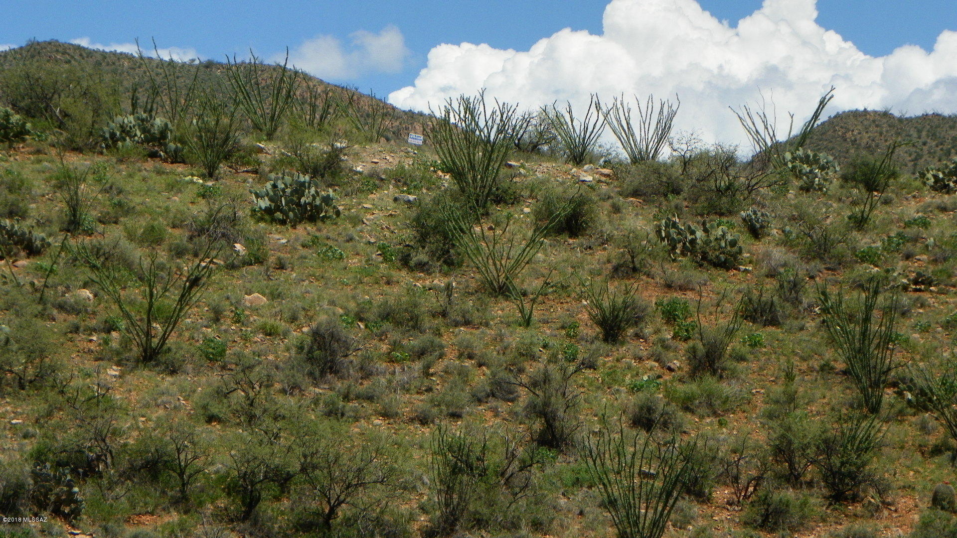 Rio Rico Ranchettes 4 - Land