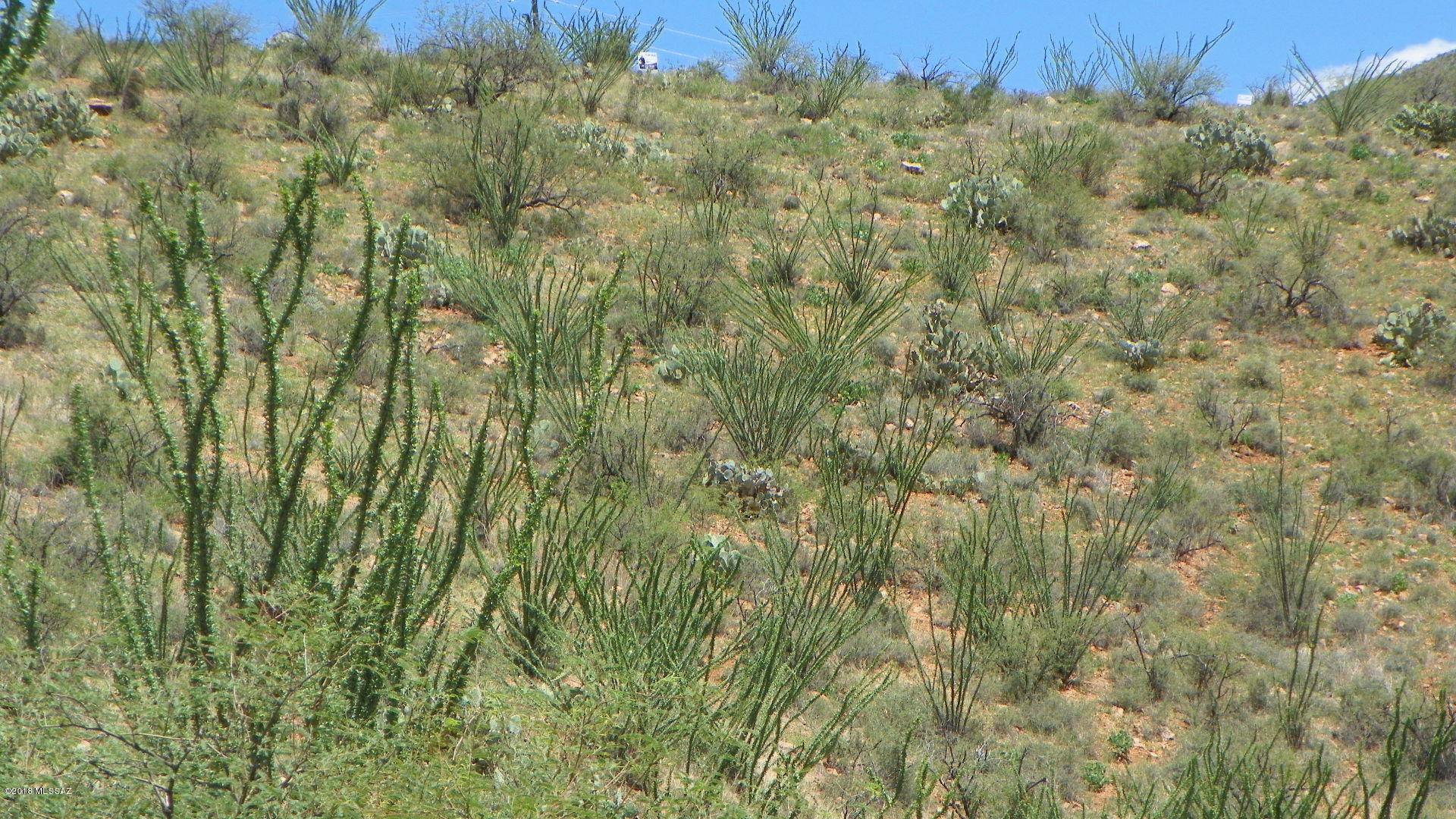 Rio Rico Ranchettes 4 - Land