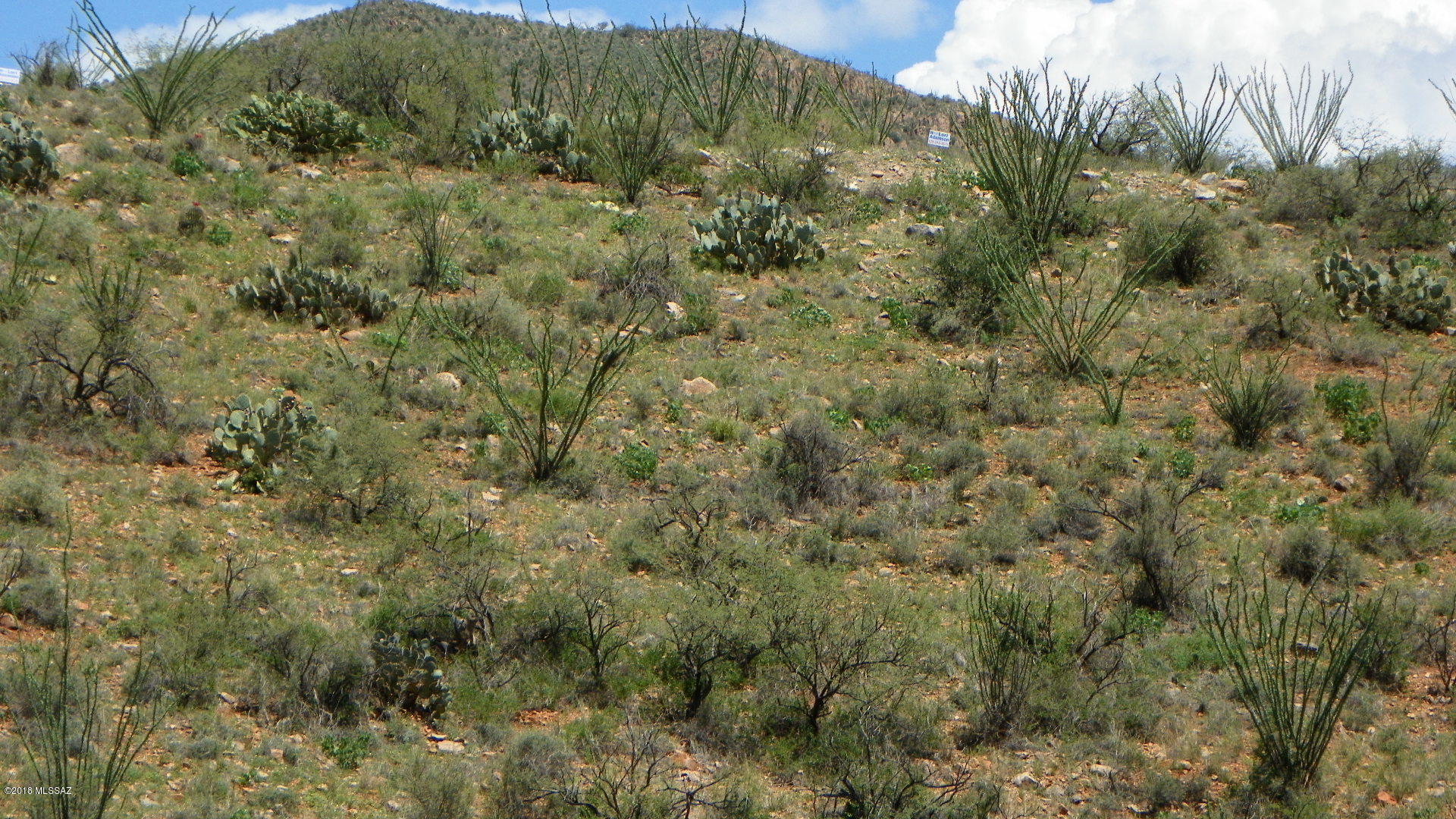 Rio Rico Ranchettes 4 - Land