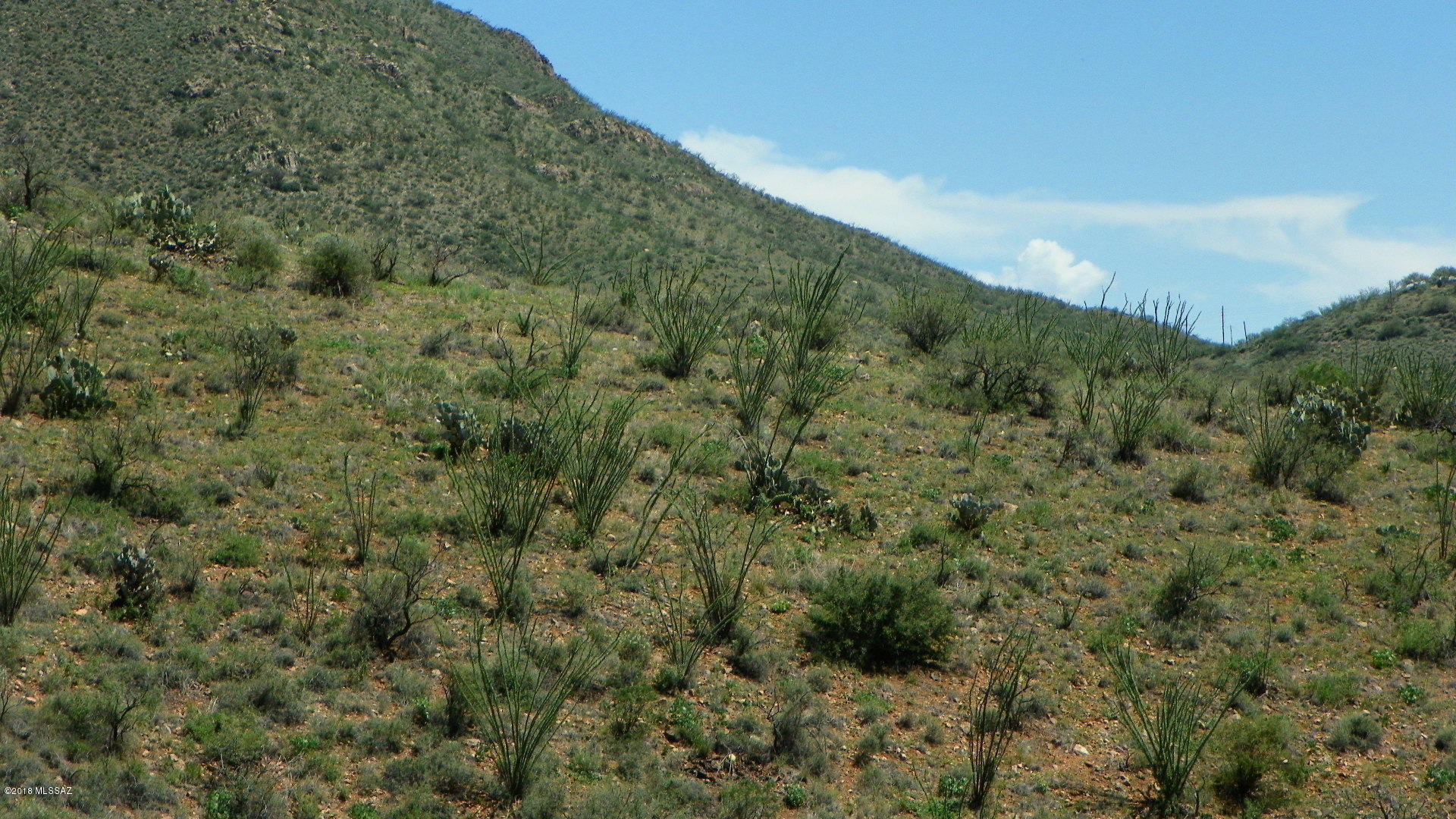 Rio Rico Ranchettes 4 - Land