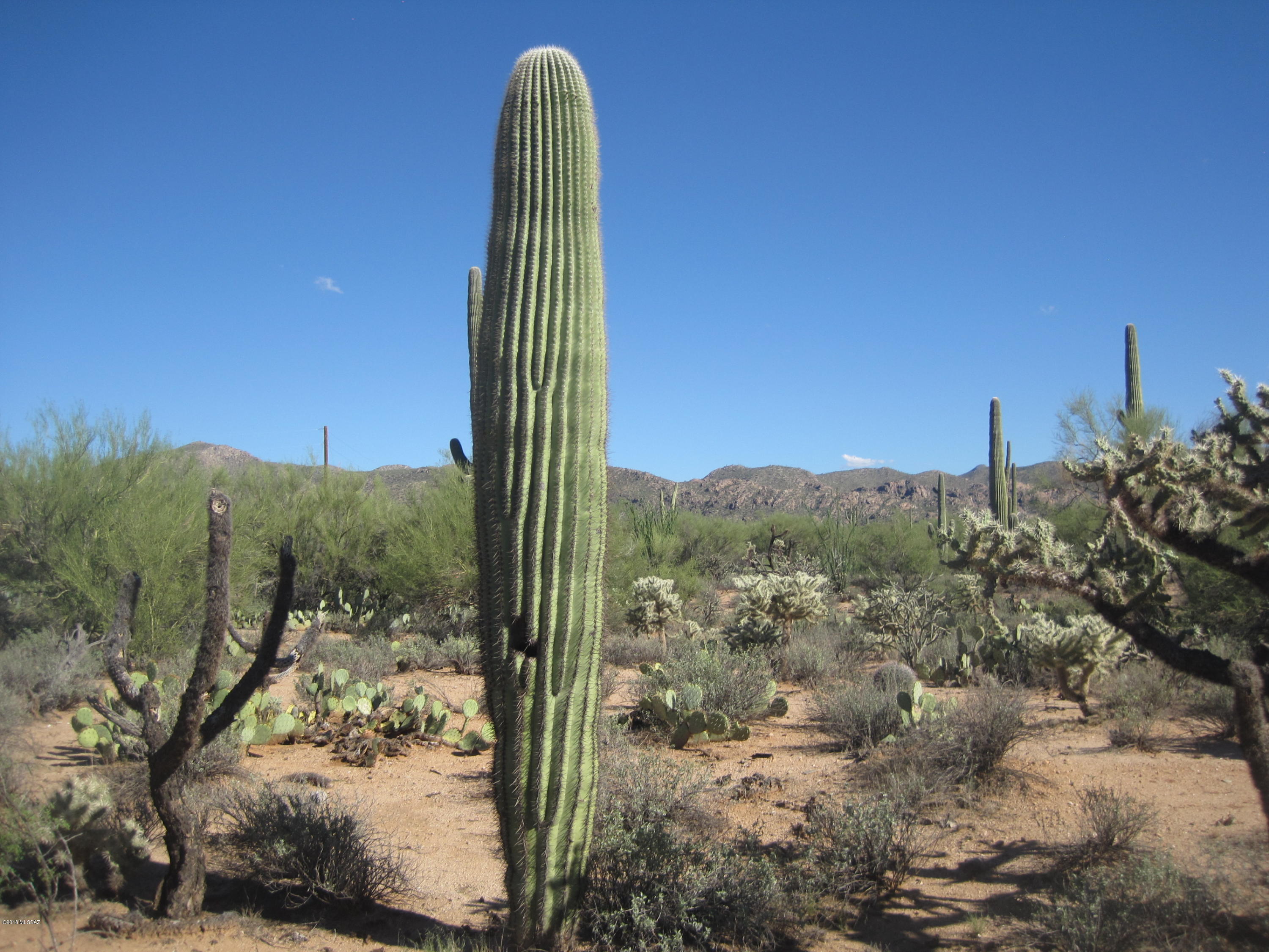 Beautiful vegetation close to the Owl Head Buttes. Easy access. Splittable. Priced to sell this little treasure. Enjoy the natural desert with native wildlife. 2 ways in & out. Call LA