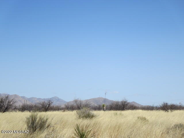 Dragoon Mountain Ranch - Land