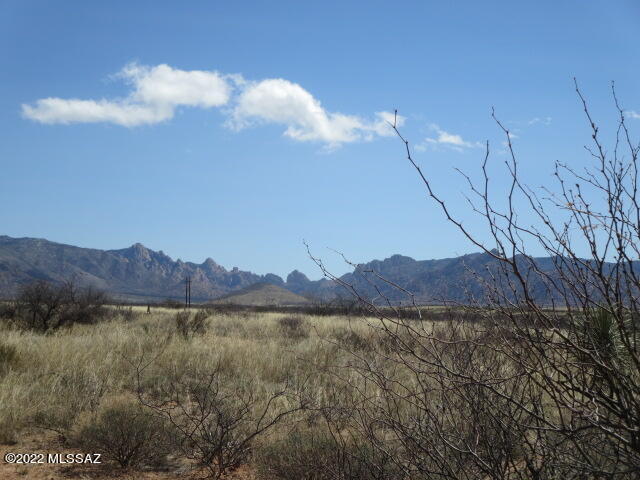 Dragoon Mountain Ranch - Land