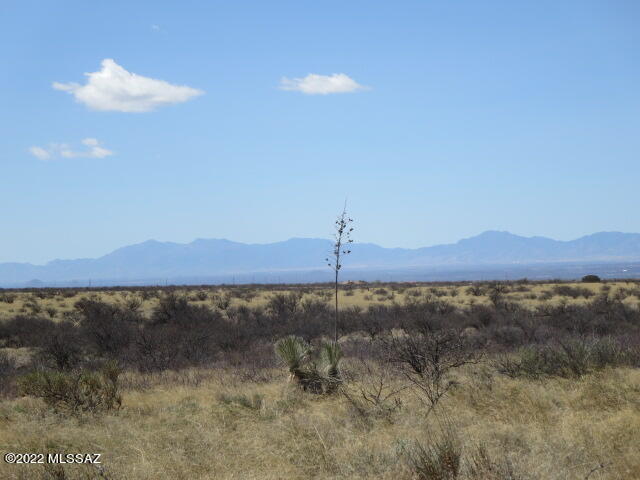 Dragoon Mountain Ranch - Land