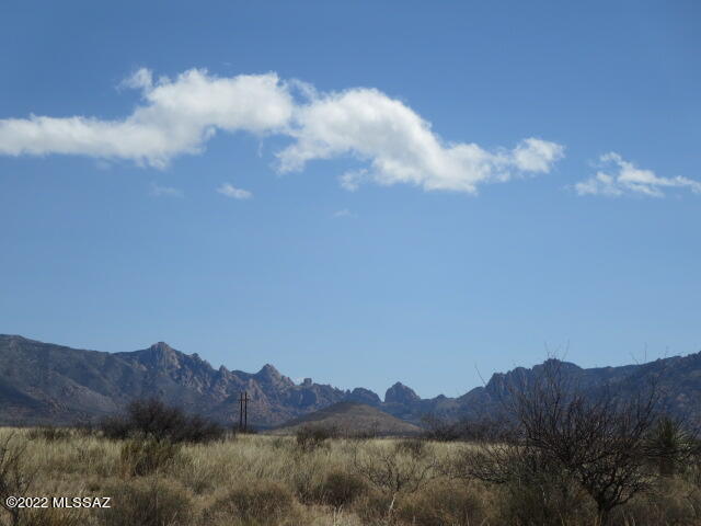 40.45 acre lot with panoramic views located in the Dragoon Mtn. Ranch Subdivision Unit 1 near the base of the historic Dragoon Mountains in St. David, AZ. The subdivision has minimum lot sizes of 36 acres that cannot be split with easements throughout for horseback riding and hiking. Property owners also have private access to Coronado National Forest land for additional hiking, camping & rock climbing . This property would be ideal for horses with good soil, natural grassland and flat to gently rolling topography.  Site built homes only.