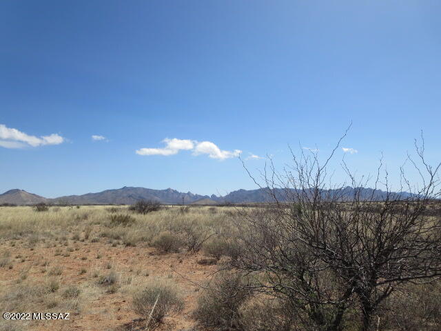 Dragoon Mountain Ranch - Land