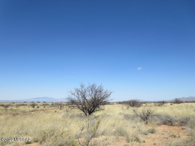 Dragoon Mountain Ranch - Land