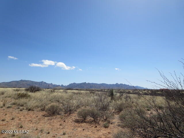 Dragoon Mountain Ranch - Land