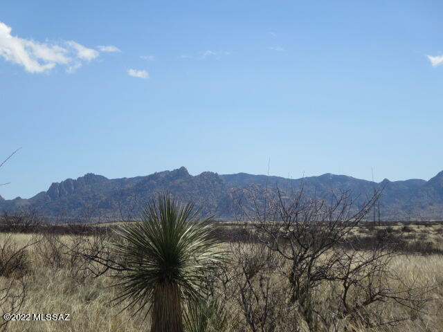 Dragoon Mountain Ranch - Land