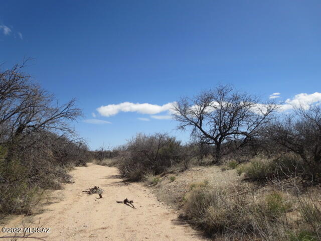 Dragoon Mountain Ranch - Land