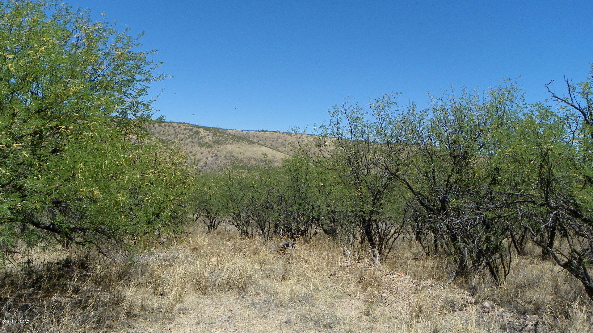 Rio Rico Ranchettes 9 - Land