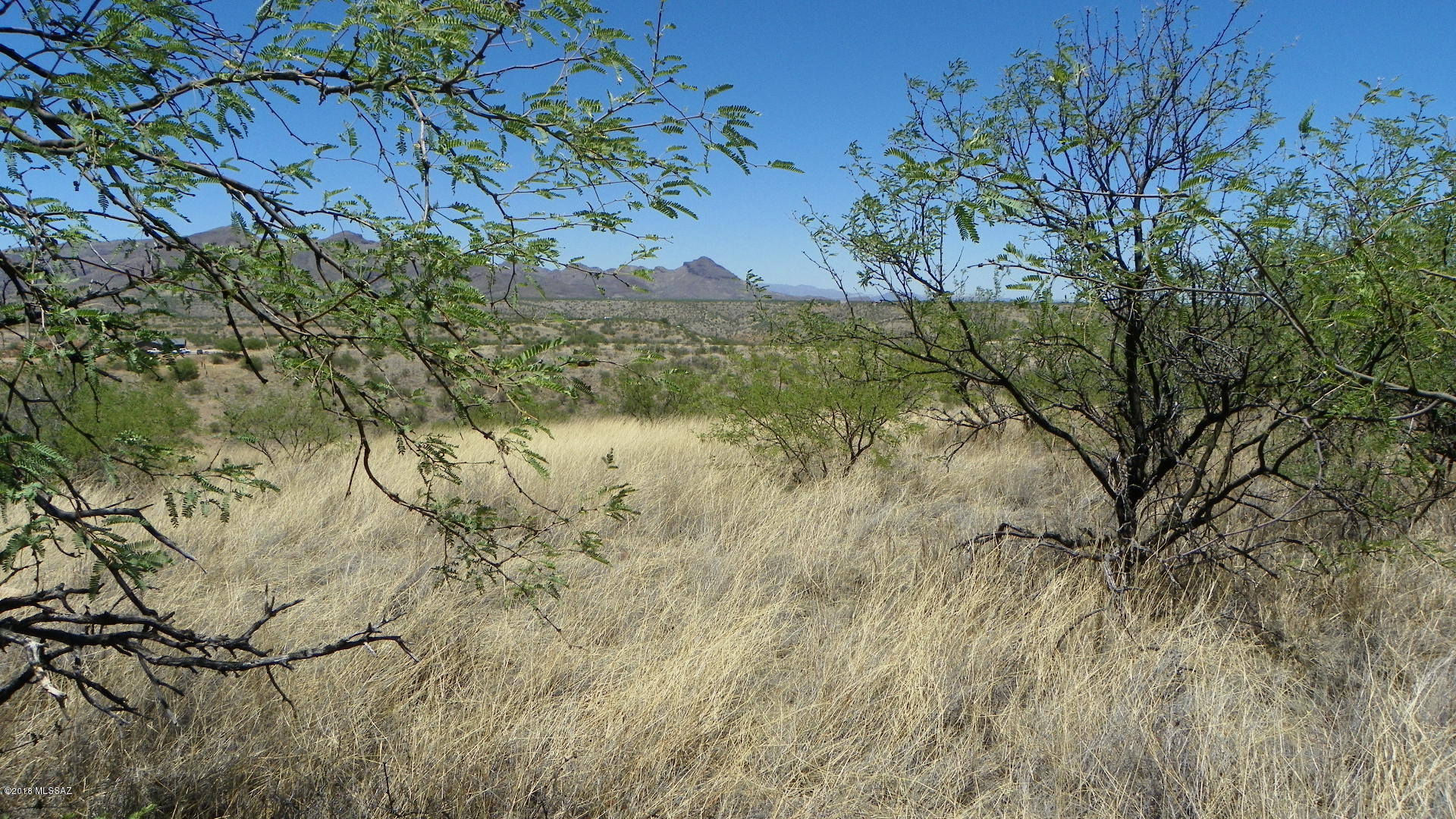 Rio Rico Ranchettes 9 - Land