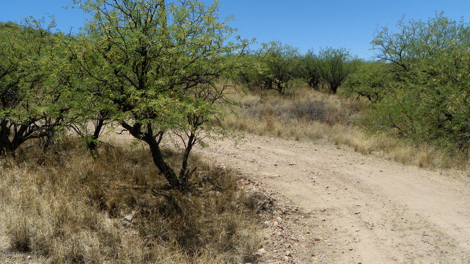 Rio Rico Ranchettes 9 - Land