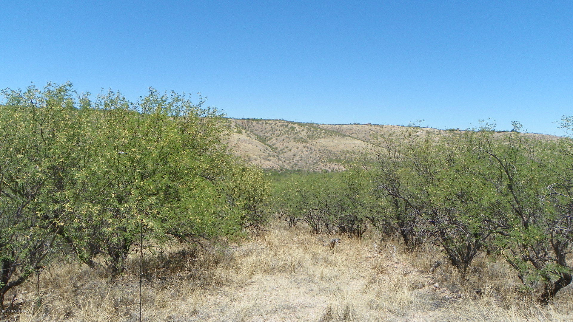 Rio Rico Ranchettes 9 - Land