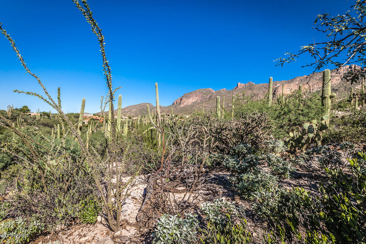 Coronado Foothills Estates - Land
