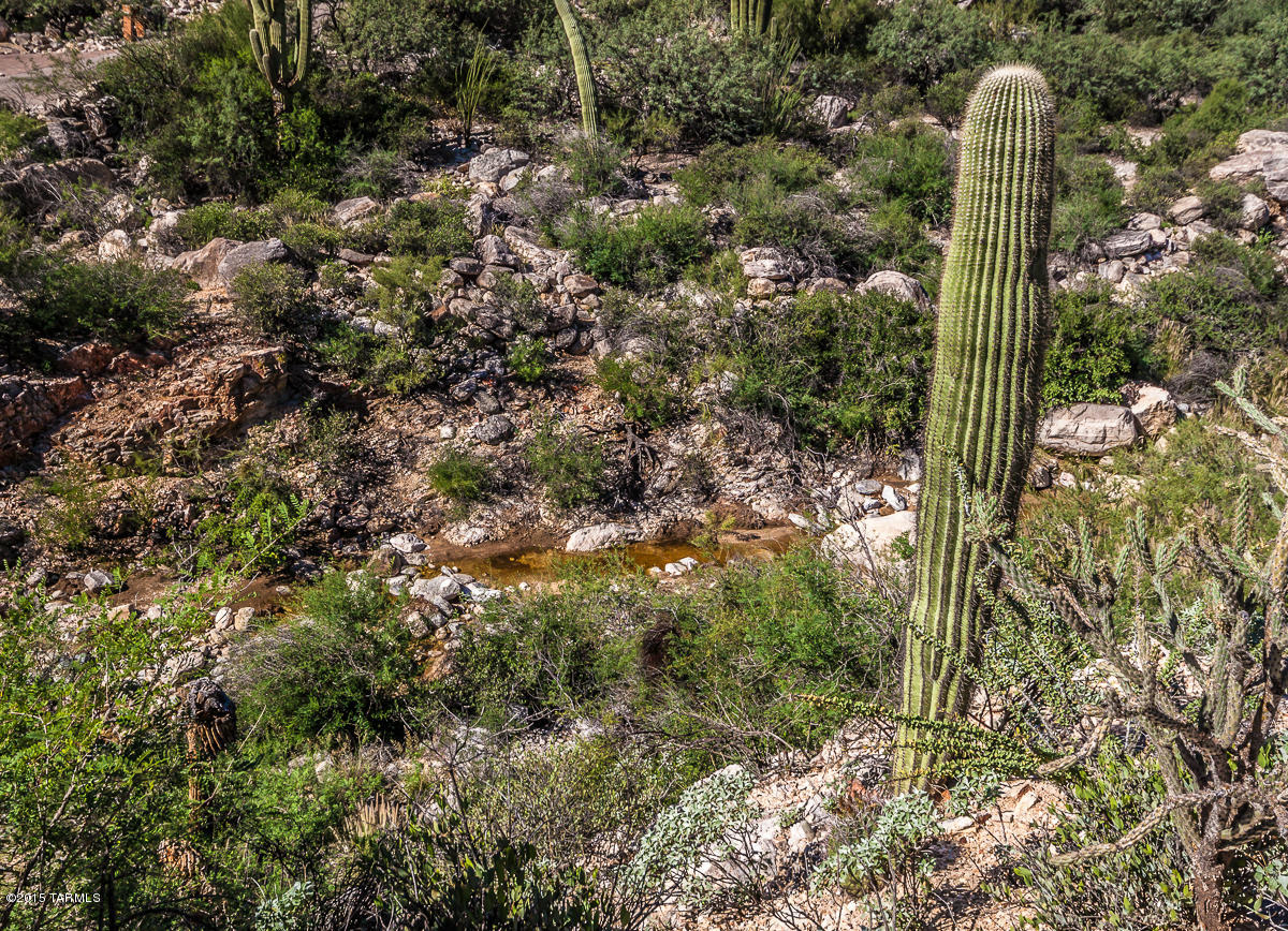 Coronado Foothills Estates - Land