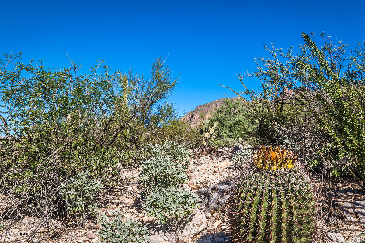Coronado Foothills Estates - Land