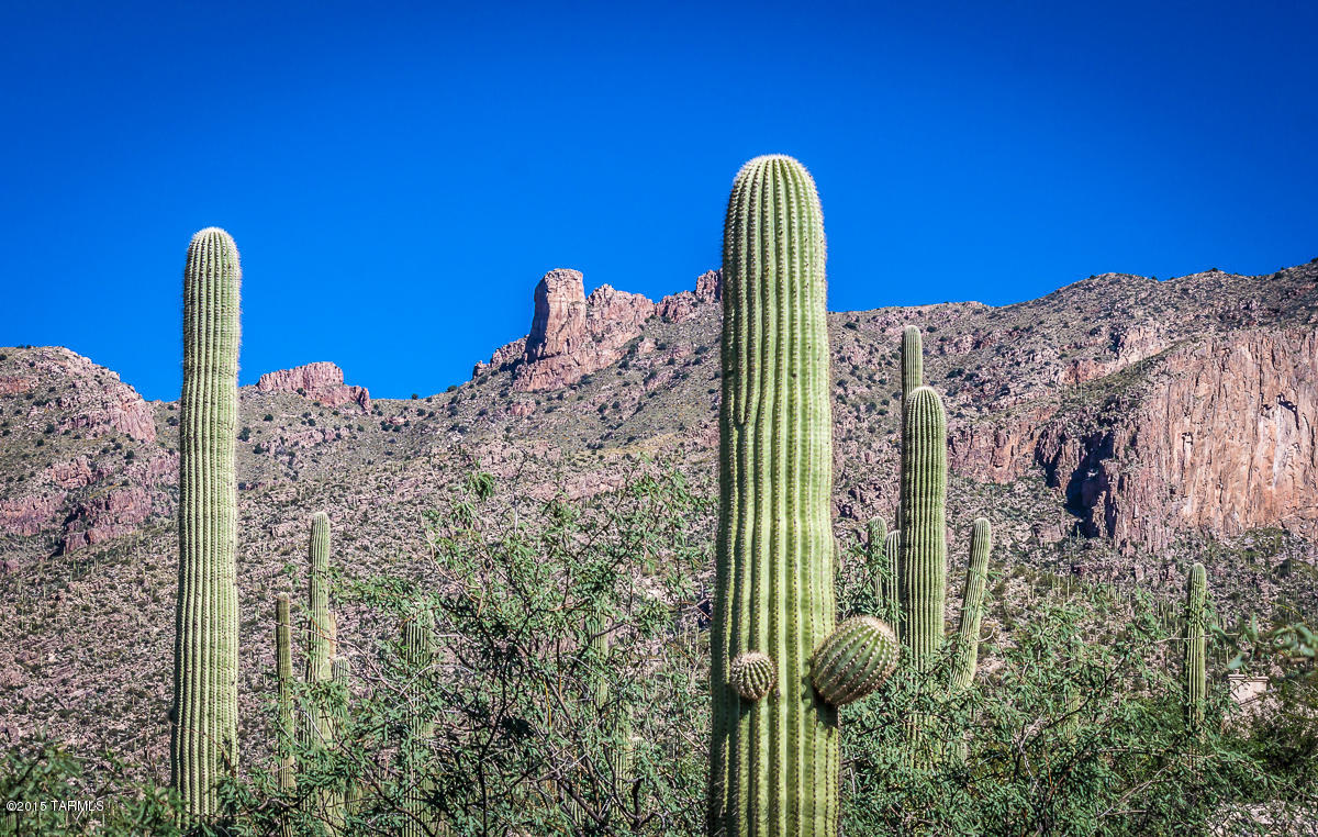 Coronado Foothills Estates - Land