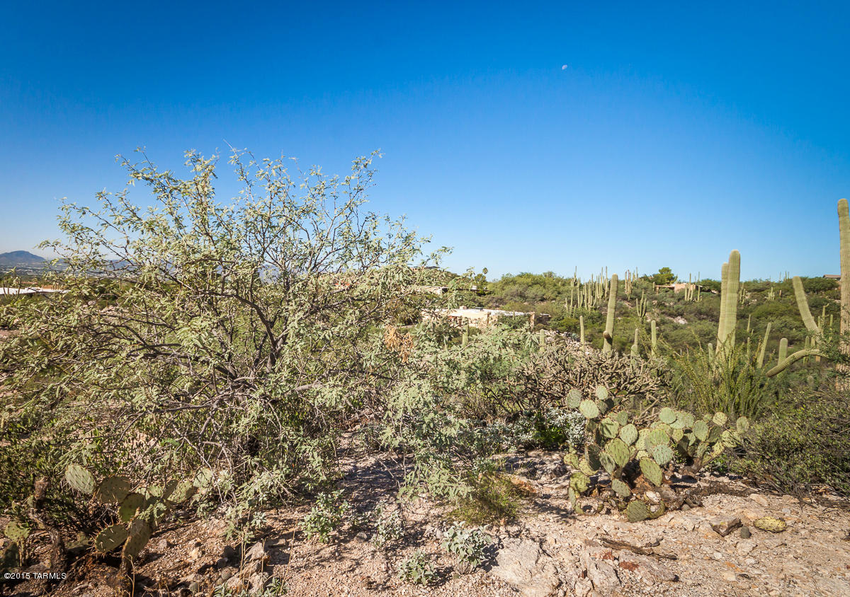 Coronado Foothills Estates - Land