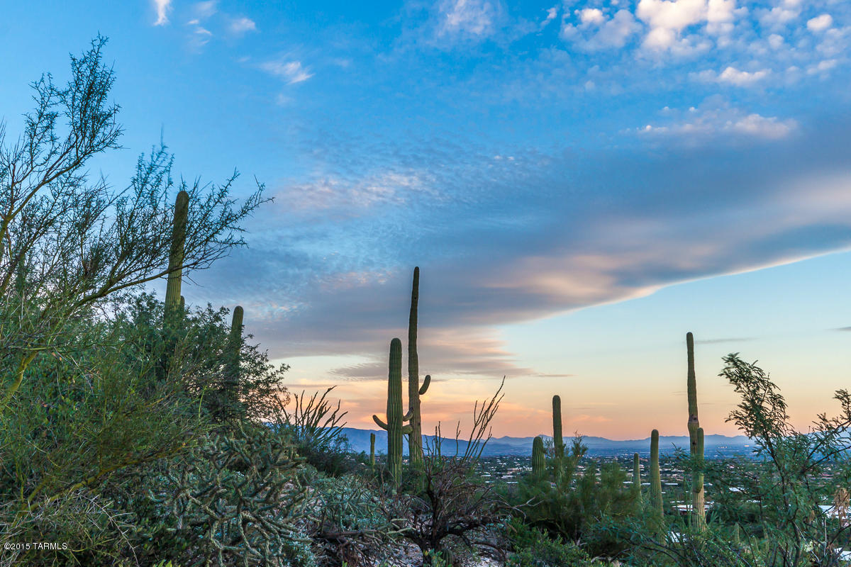 Coronado Foothills Estates - Land
