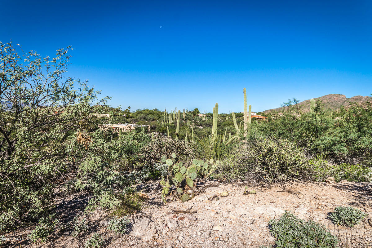 Coronado Foothills Estates - Land