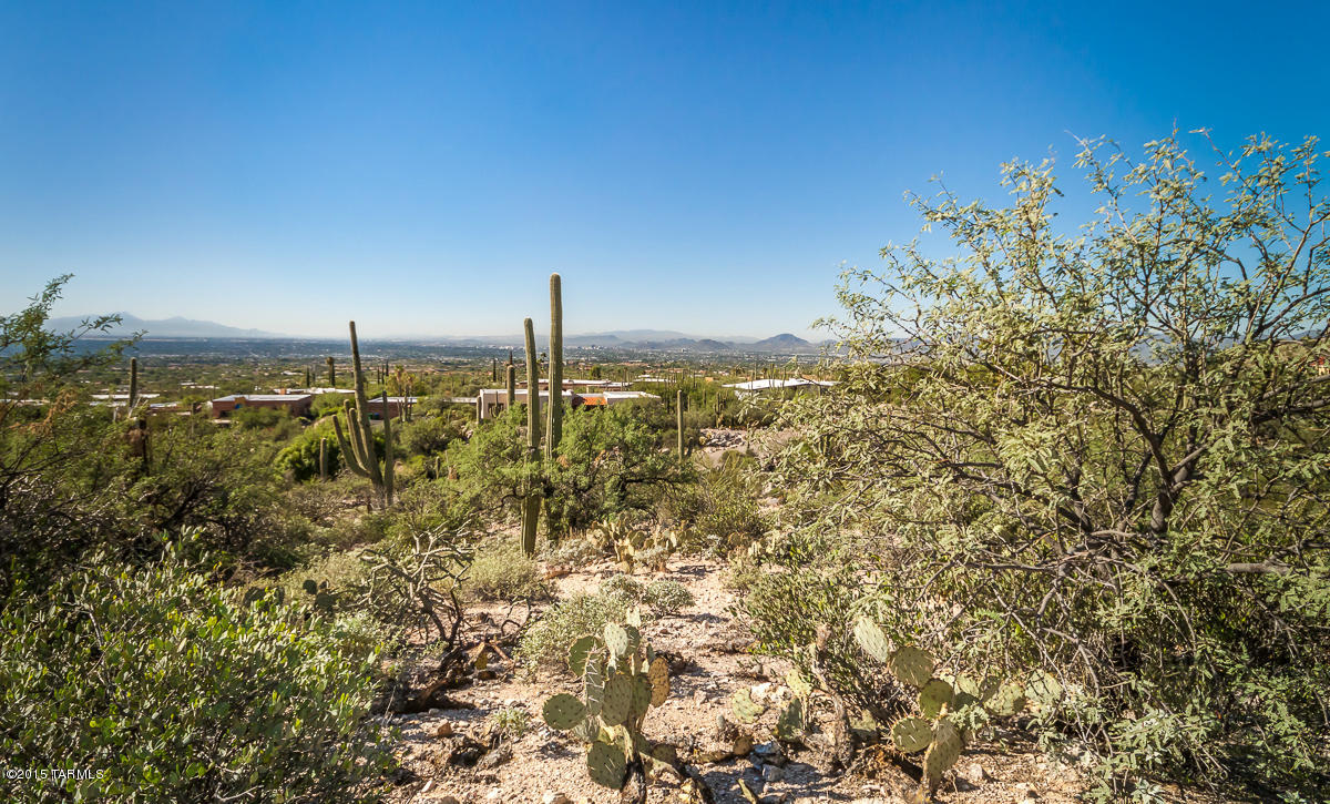 Coronado Foothills Estates - Land