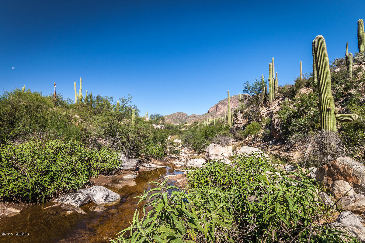 Coronado Foothills Estates - Land