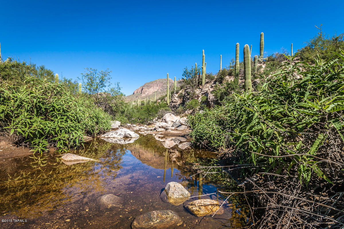 Coronado Foothills Estates - Land