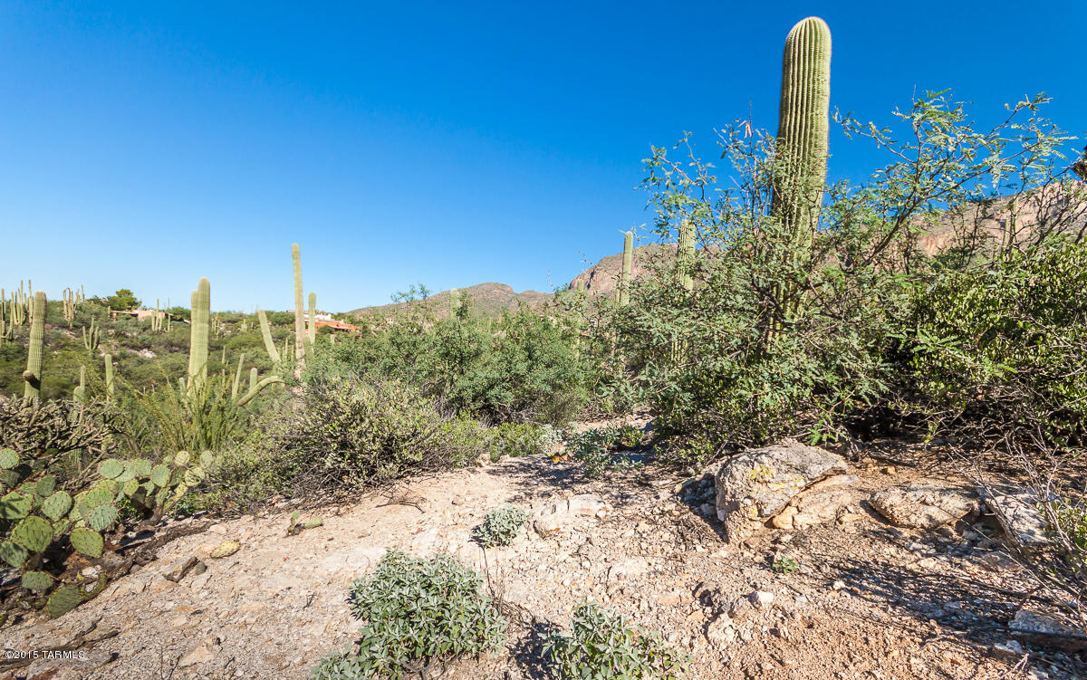 Coronado Foothills Estates - Land
