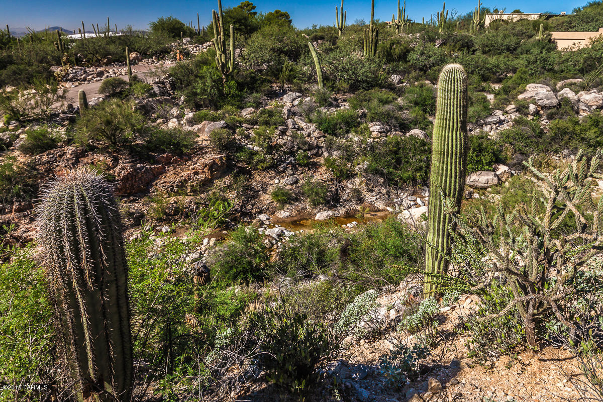 Coronado Foothills Estates - Land